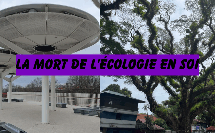  La mort de l’écologie en soi