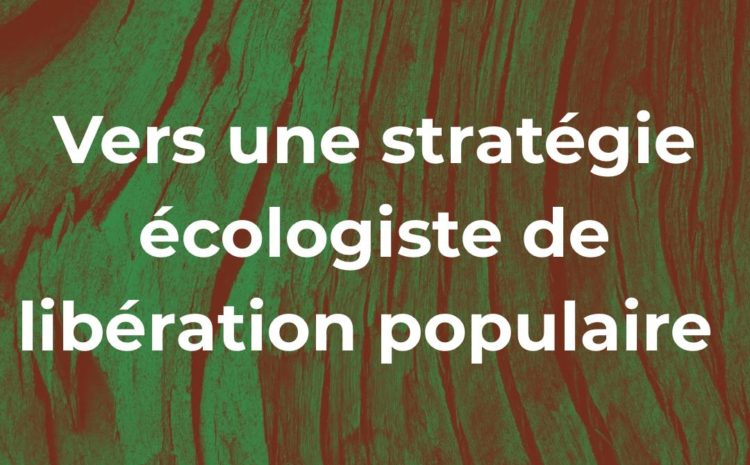 Contribution: Vers une stratégie écologiste de libération populaire, par Merlin Gautier