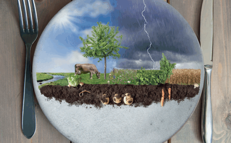  SNAC : Le gouvernement plie face aux lobbies, la démocratie et la souveraineté alimentaires trahies