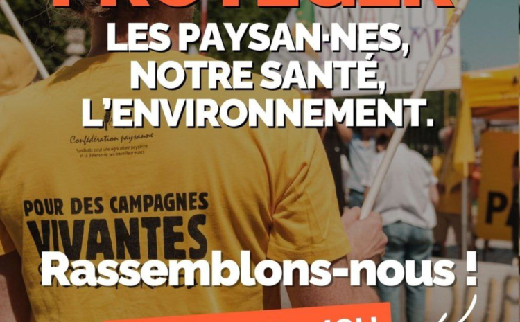  Loi Duplomb 2 : criminaliser l’écologie pour épuiser les corps, les voix et les solidarités 