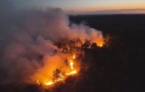 Incendies de forêt en Ile de France